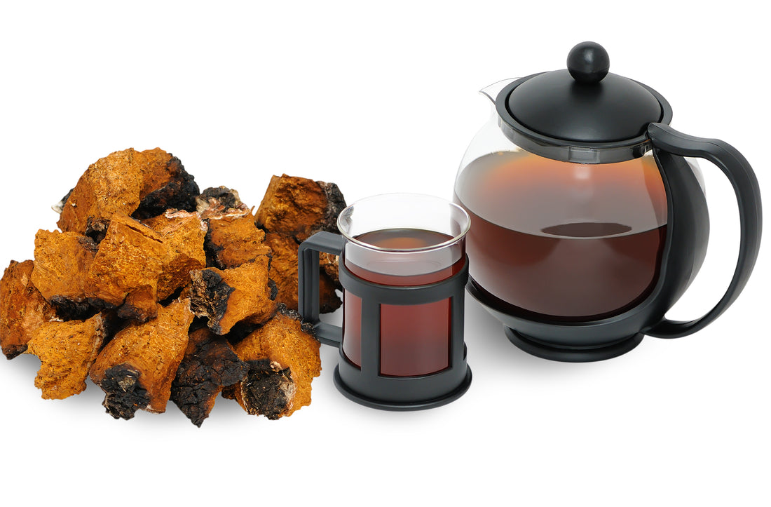 Why Chaga Tea May Not Be The Best For You