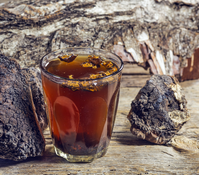 Chaga: 7 Things You Must Know Before Taking This Mushroom (#5 Will Shock You)