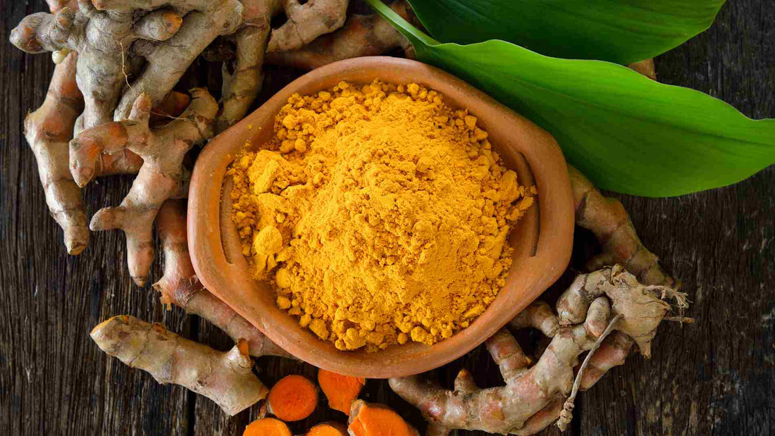 Decoding Turmeric: A Breath of Fresh Air for Lung Health