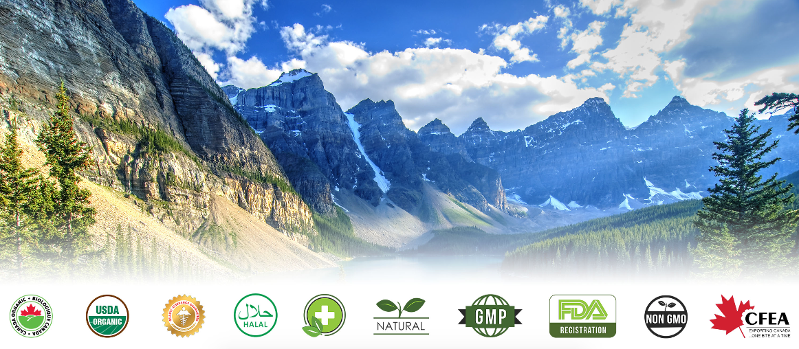 Official health certification logos for Real House Canada against a scenic photograph of natural Canadian landscape